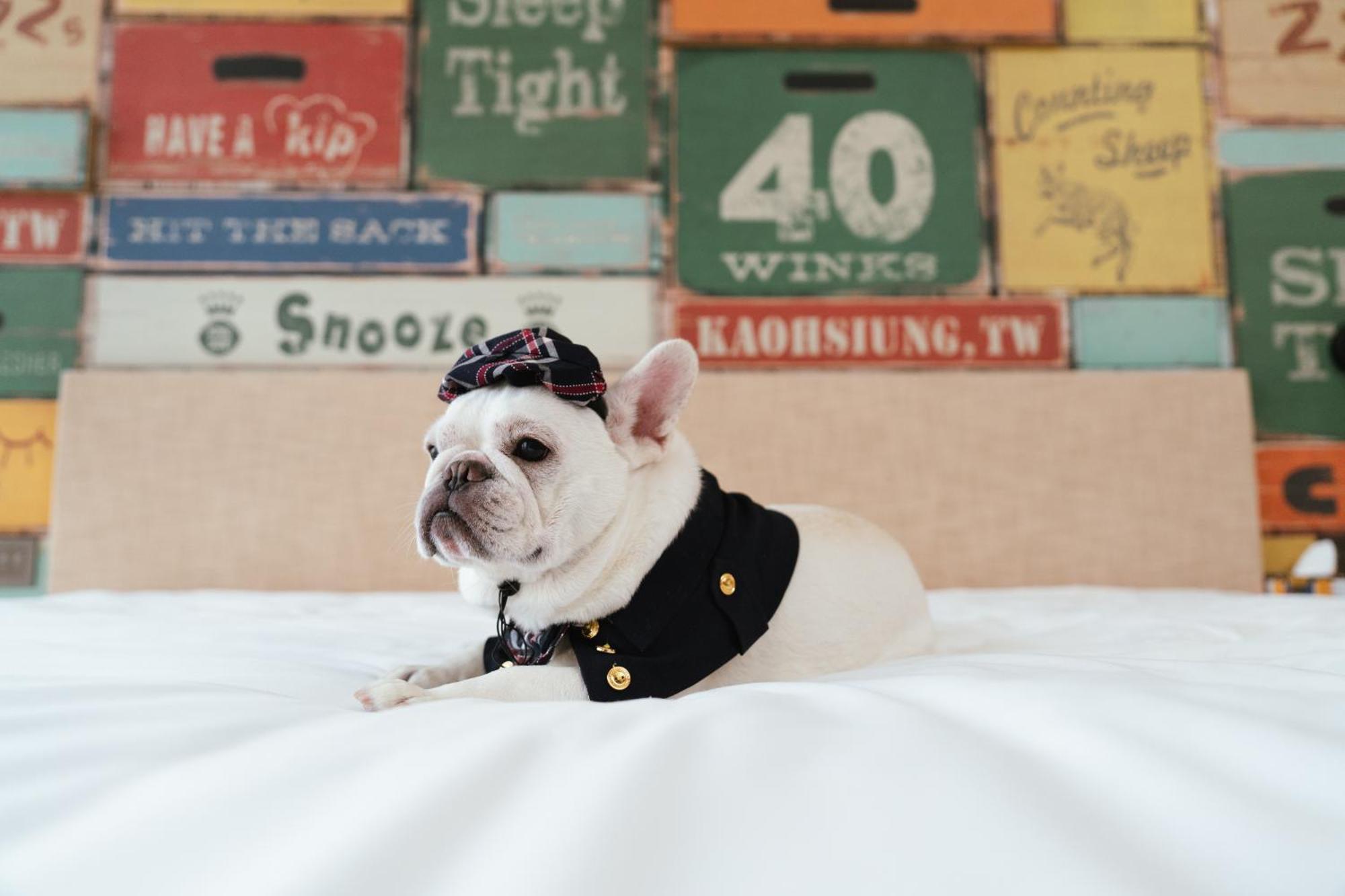 Hotel Indigo Kaohsiung Central Park By Ihg Buitenkant foto French Bulldog