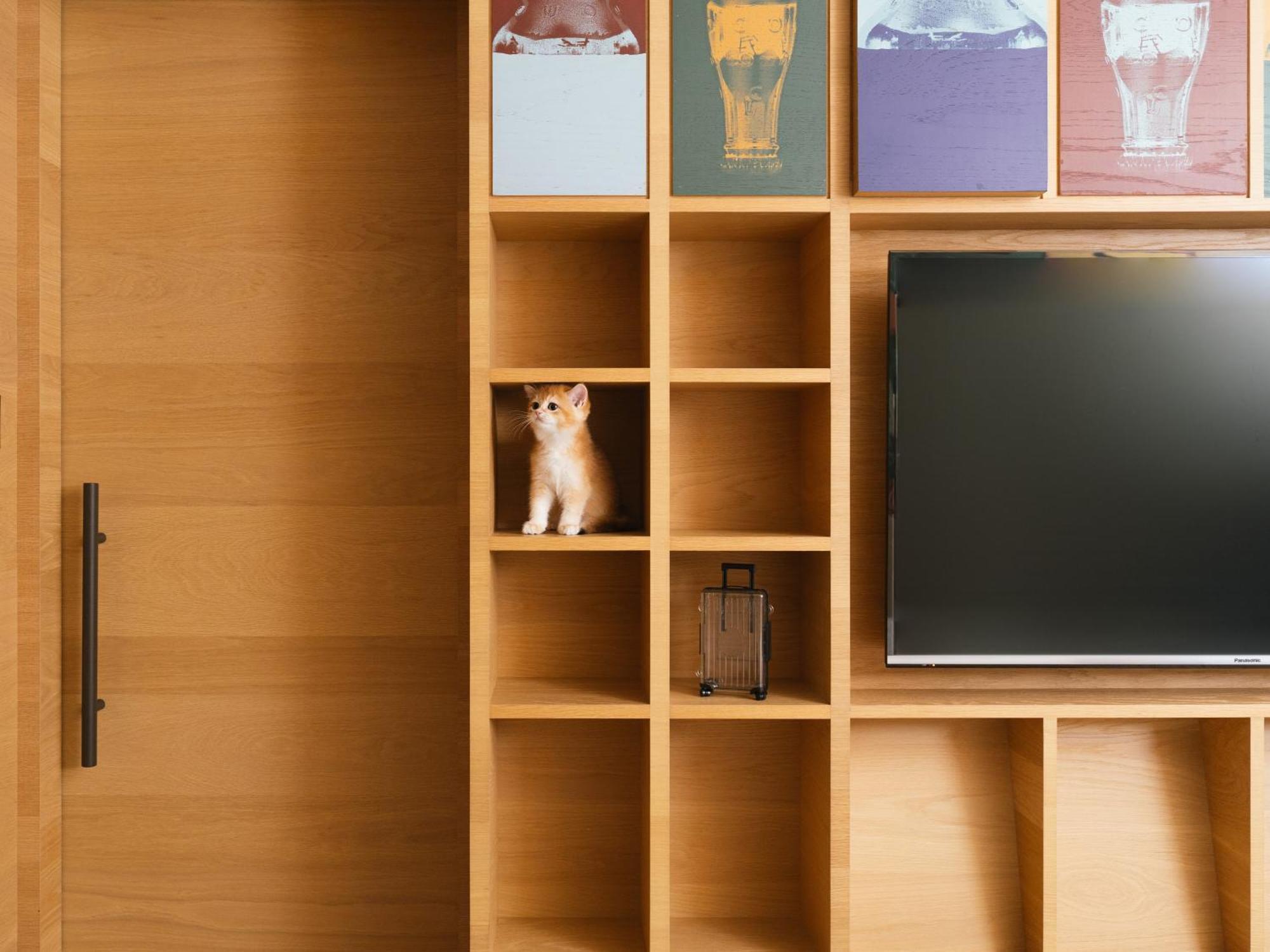 Hotel Indigo Kaohsiung Central Park By Ihg Buitenkant foto A cat in a bookcase